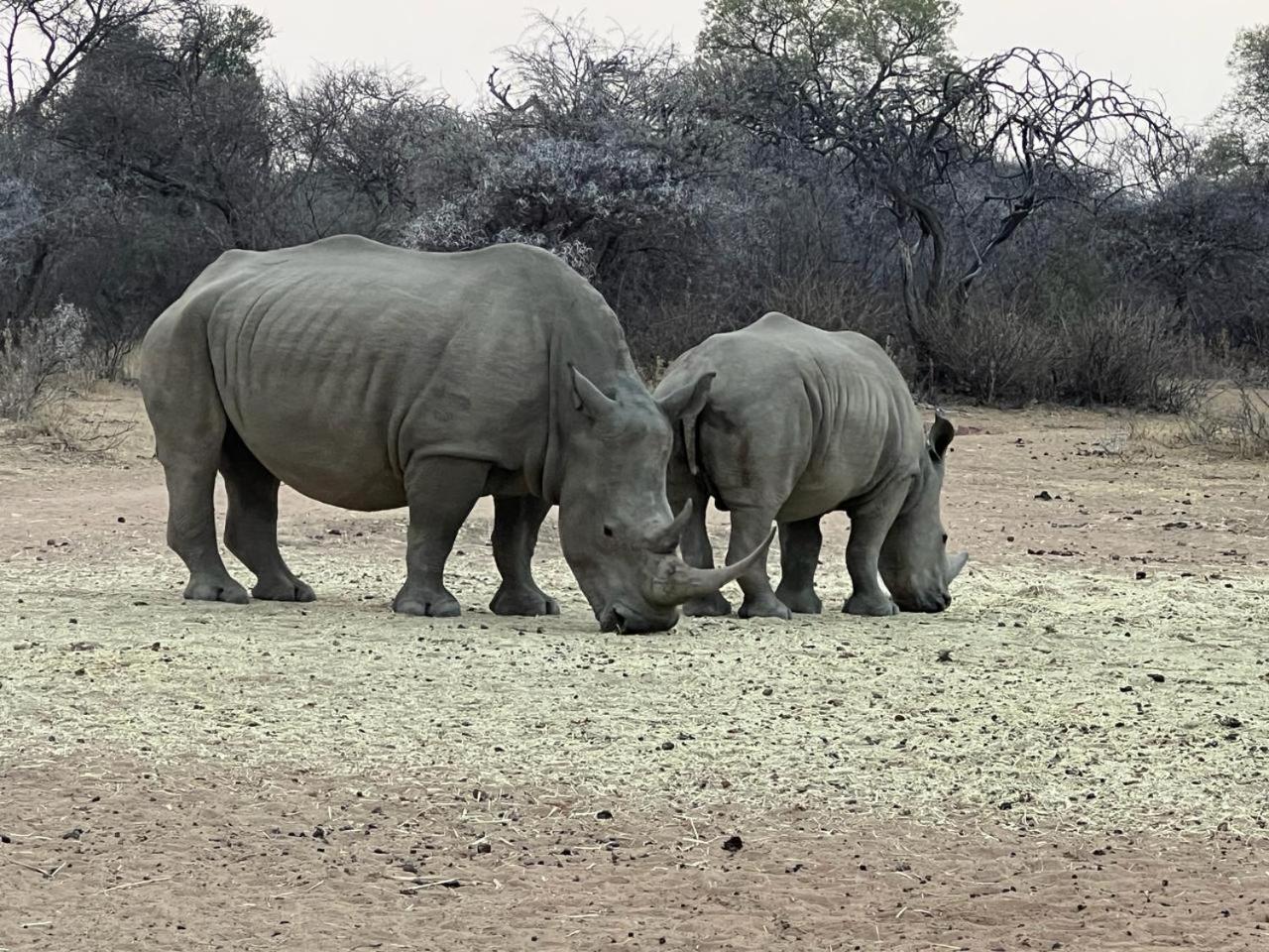 Thula-Thula Private Game Lodge Mabalingwe 벨라벨라 외부 사진